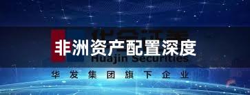 非洲资产配置深度